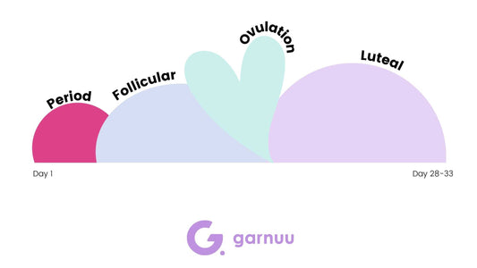 Menstrual Cycle Phases: The Hormones, The Purpose, The Phases