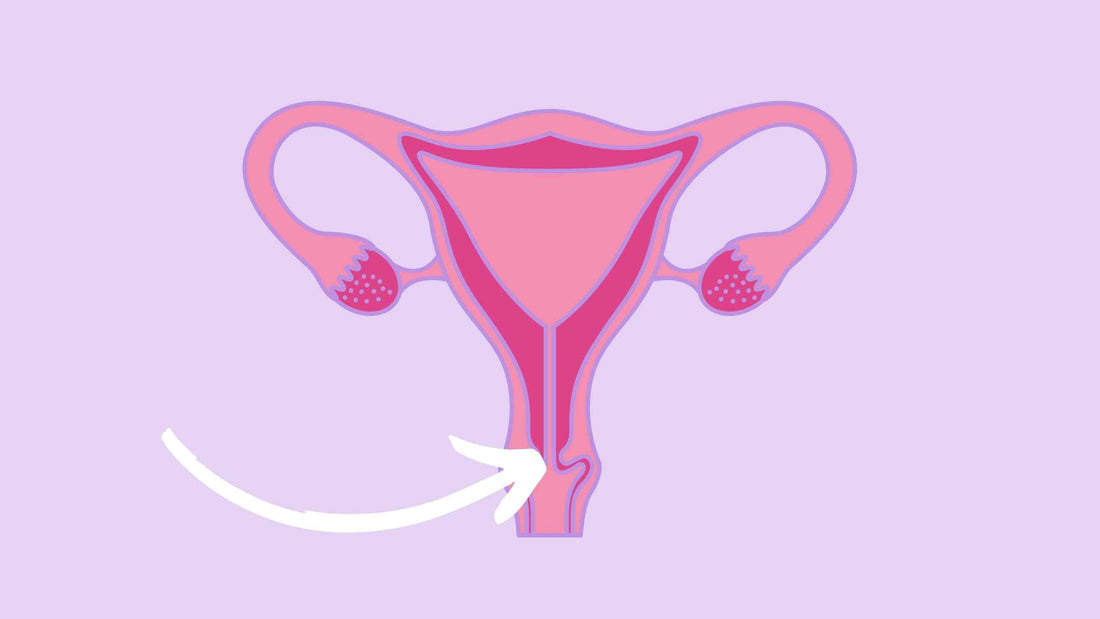 How many days before your period does your cervix drop?
