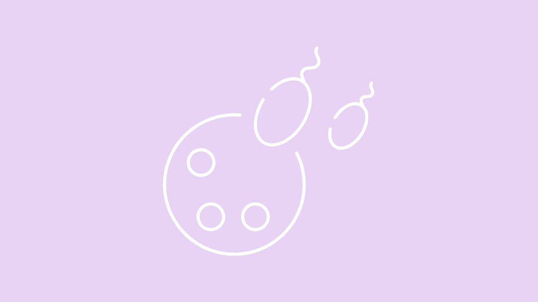 When is a Woman Most Fertile? The Best Time to Get Pregnant