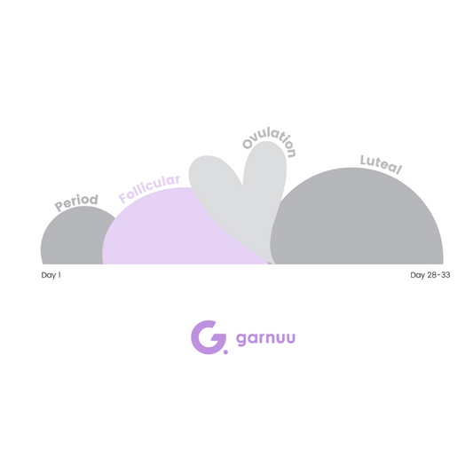 Follicular Phase: Everything You Need to Know